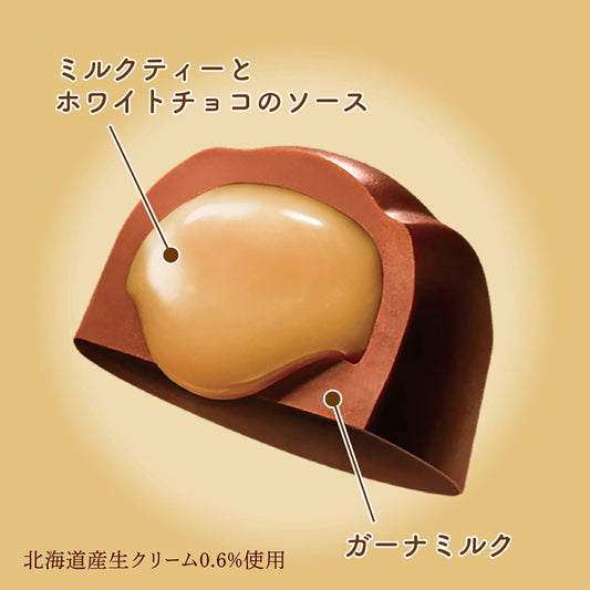 LOTTE 樂天 Premium Ghana 皇家奶茶夾心朱古力 Royal Milk Tea filled chocolate