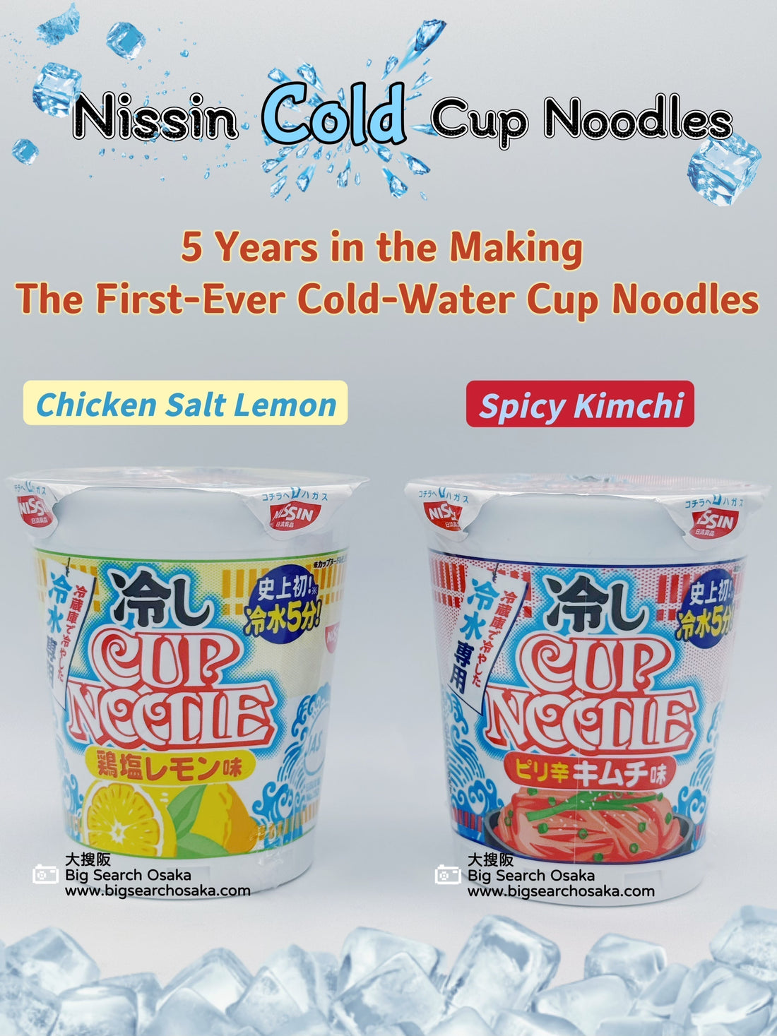 Nissin Cold Cup Noodle